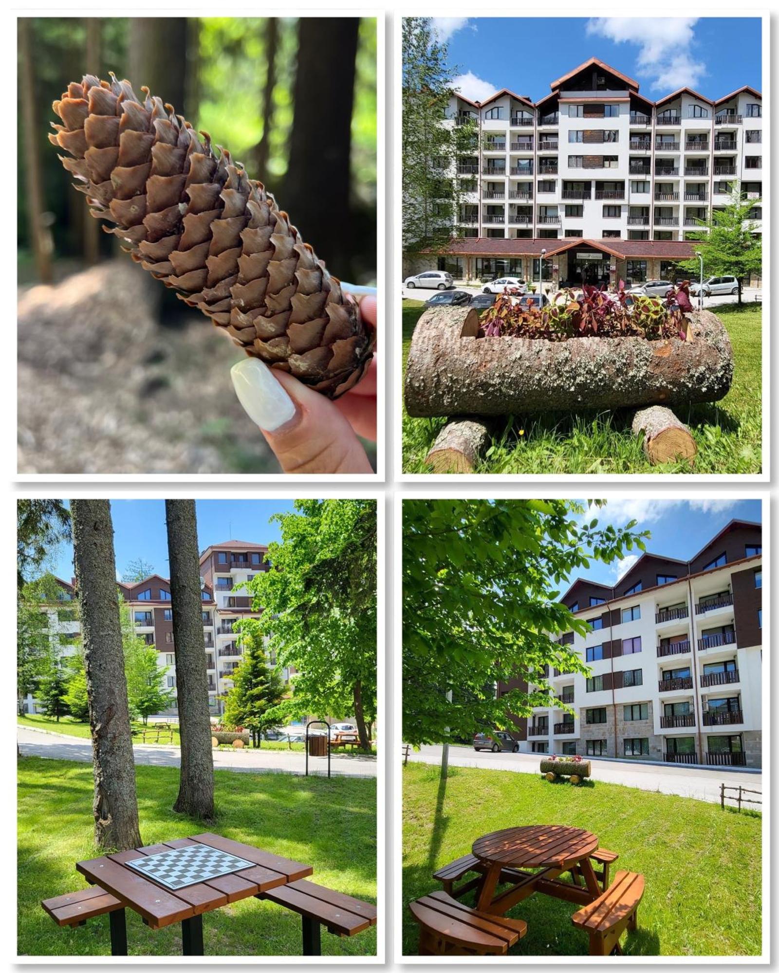 The Green Apartment 波罗维茨 外观 照片